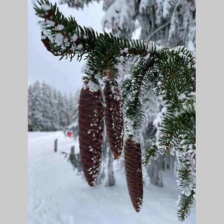 Zeit Fuer Dich Am Bergelchen, Winterbergアパートメント エクステリア 写真